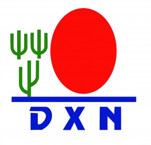 DXN company logo