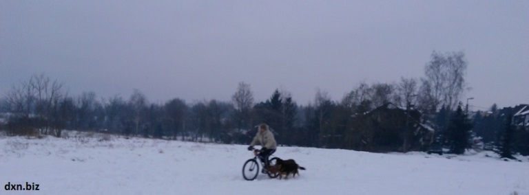 Me riding bike with my dogs in winter in the snow.