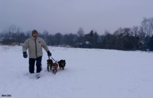 Walking my 3 dogs in deep snow in winter.